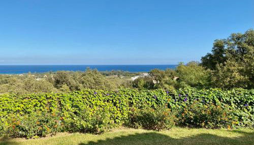 Domaine Punta della Guardia villa panorama maquis et mer, plage à 1,5 Km - Foto 4