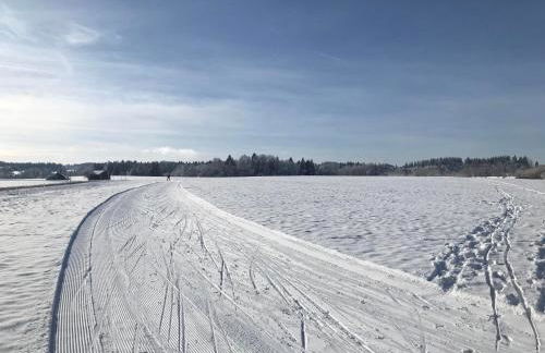 AllgäuZeit Isny - Foto 19