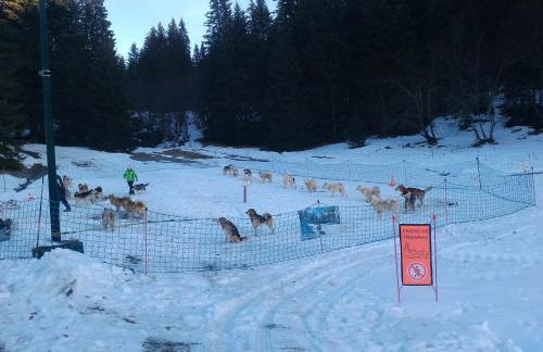 Studio coeur de station de Praz de Lys 1500m - Foto 29