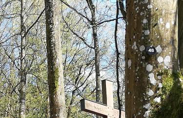 Ferienwohnungen Blum - Foto 15