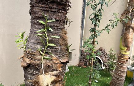 Casa de Temporada Uberaba Piscina Aquecida - Photo 43