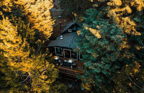 Lightfoot Cabin Mid-Century Perfect Romantic Getaway Hot Tub Sauna - Foto 20