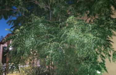 Agriturismo Mele - Foto 57