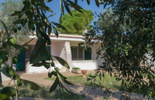 Borghetto Tio Pepe - Foto 50