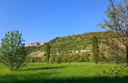 Ferienwohnung Alt Freyburg - Foto 12