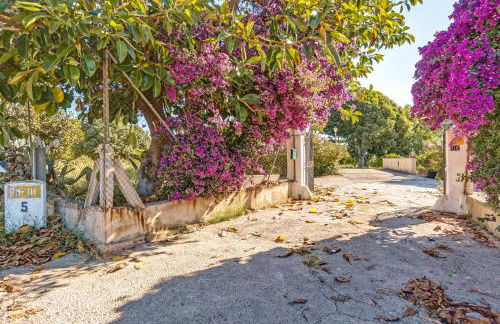 Es Molí de'n Palmer - Foto 20