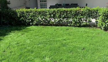 Casa Levante Fregene, mare e relax vicino Roma - Foto 4, Garden