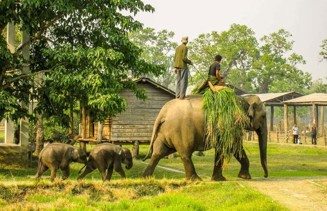 Chitwan National Park 2 Day Trip - Photo 2