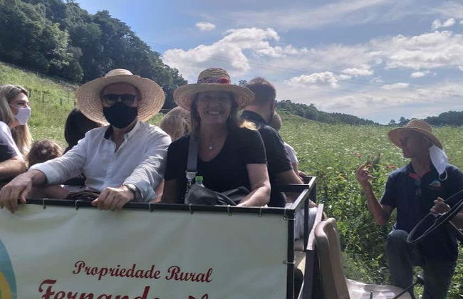 Escursione ai vigneti di Flores da Cunha - Foto 5