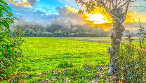 A Carballeira do Tambre - Foto 3