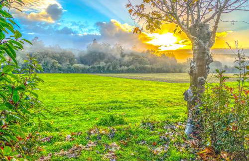 A Carballeira do Tambre - Foto 3