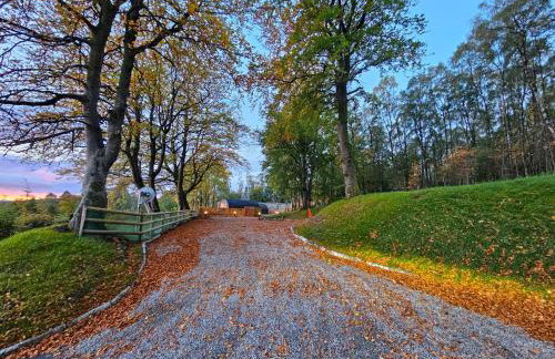 Gallowhill Kirkside - Uk46515 - Foto 10