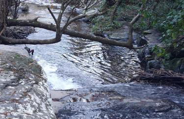 Casa O Arco Alojamento Local - Foto 79