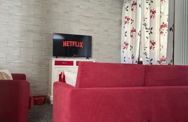 La Tillanzia - Foto 19