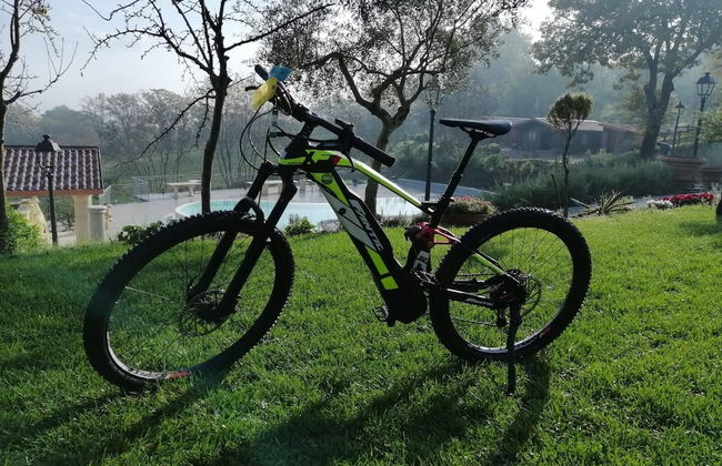 Country House Bosco d'Olmi - Foto 57