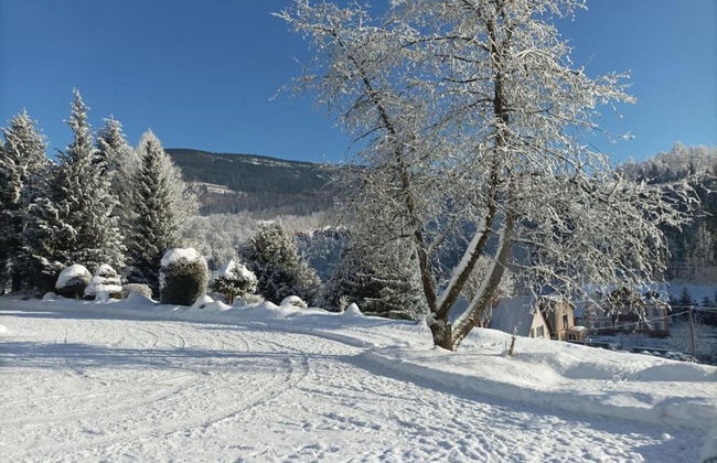 Attractive Apartment in Rokytnice nad Jizerou Near Ski Area - Foto 75