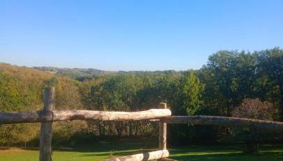 Aux 40 Écus - Gingko - Foto 5