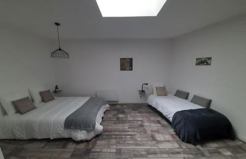 gite des mariés à 7mn du puy du F0U - Photo 24