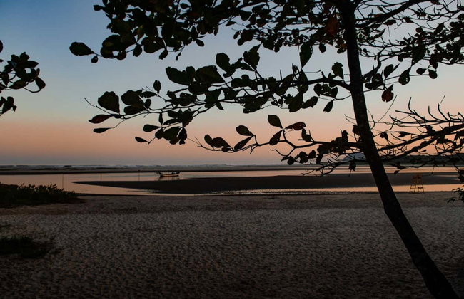 Tour por la playa de Itaguaré - Foto 4