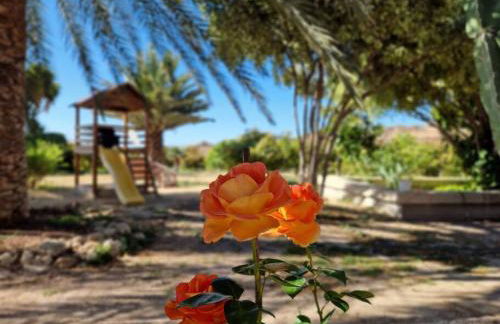 Private house with pool & garden - Foto 27