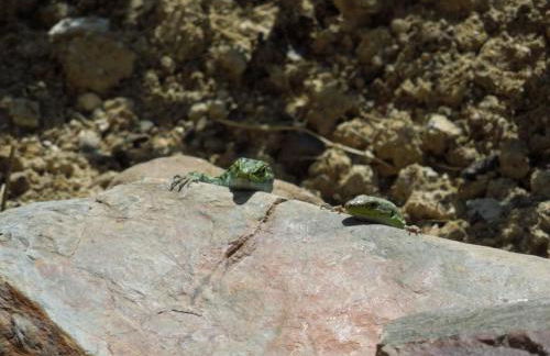Holiday Home Unterkunft in einer Höhle mit Privatparkplatz by Interhome - Foto 28