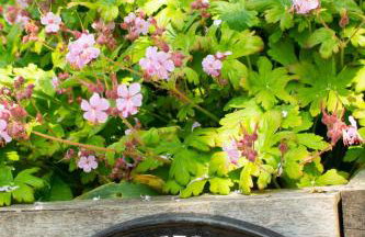 2 Bed in Cley oc-2165 - Photo 11