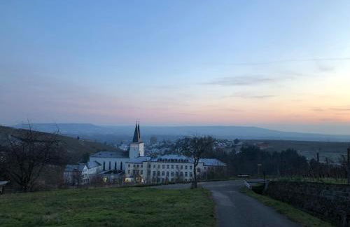 Modernes Apartment am Waldrand - Foto 15