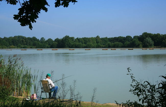 Family Retreat With Garden - Foto 28