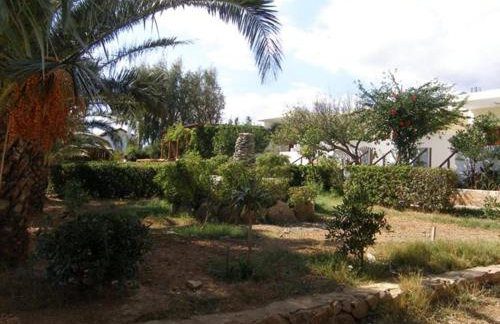 Zorbas Rooms - Photo 17