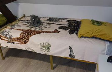 Beauval Saint Aignan,châteaux de la Loire gîte Le Royaume Sauvage - Foto 8