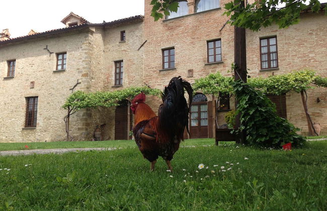 Historical Residence il Biribino 27 People - Foto 56