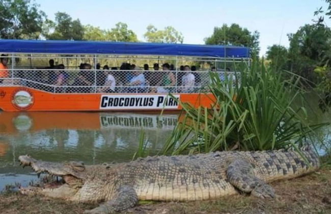 Majestic Manor Stylish Super Home Pool BBQ - Foto 34