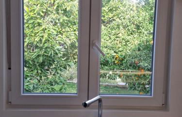 Finca Vista El Montanes - Photo 76