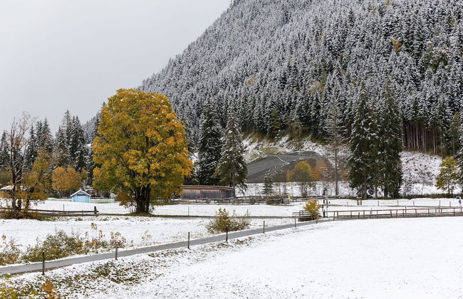 Chalet in Saalbach Near Ski Lift - Foto 29