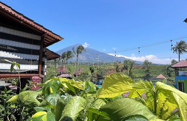 Pondok Cilega - Foto 18