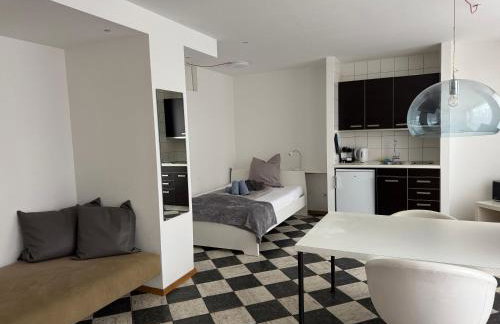 Schönste Lage an der Donau 1 - Foto 4