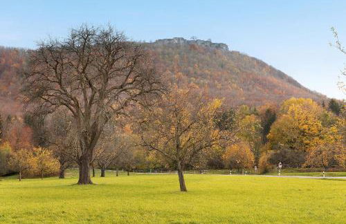 Wanderer Lodge am Breitenstein - Foto 25