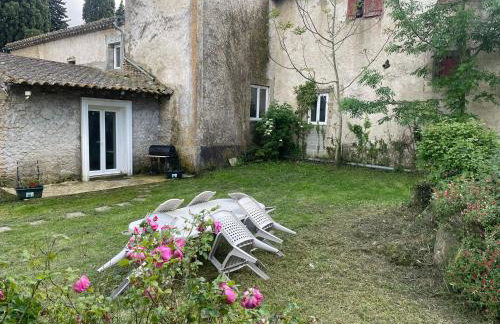 les bambous - Photo 2