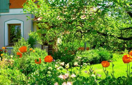 JANISCHs Fewo im Spreewald, Terrasse, großer Garten und Blick inklusive - Foto 41