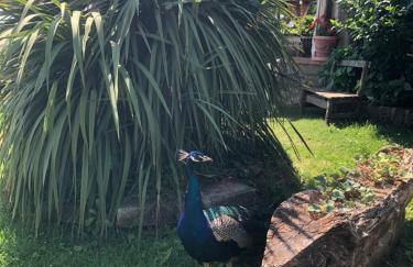 Agriturismo La Baita - Foto 32