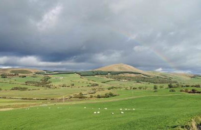 Glen Bay - 2 Bed Lodge on Friendly Farm Stay with Private Hot Tub - Foto 61