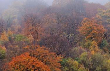 The Old Band Room House No 2 - Photo 27