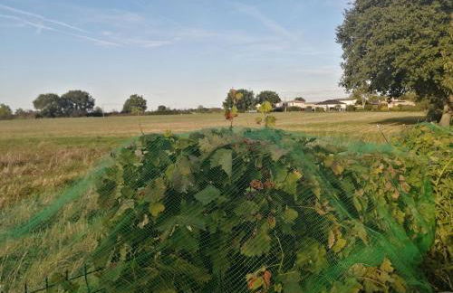 Gîte Bouconne Pibrac - Foto 9