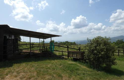 Scappo in Umbria, Le Salce - Foto 12