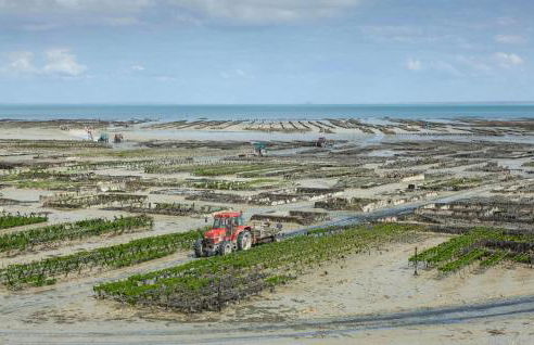 4 Bedroom Stunning Home In Cancale - Foto 22