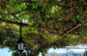 House Lana - Foto 19