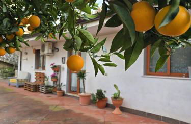 Kalo's Apartment Battipaglia - Foto 21