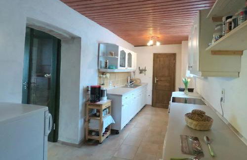 Pferd - Spaß - Entspannung - Foto 18