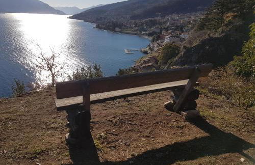 Il Torchio - Photo 41