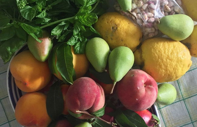 Belvilla by OYO Menotti - Foto 13